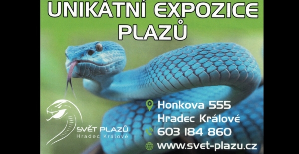 Tip na výlet: Svět plazů - Hradec Králové-Kukleny